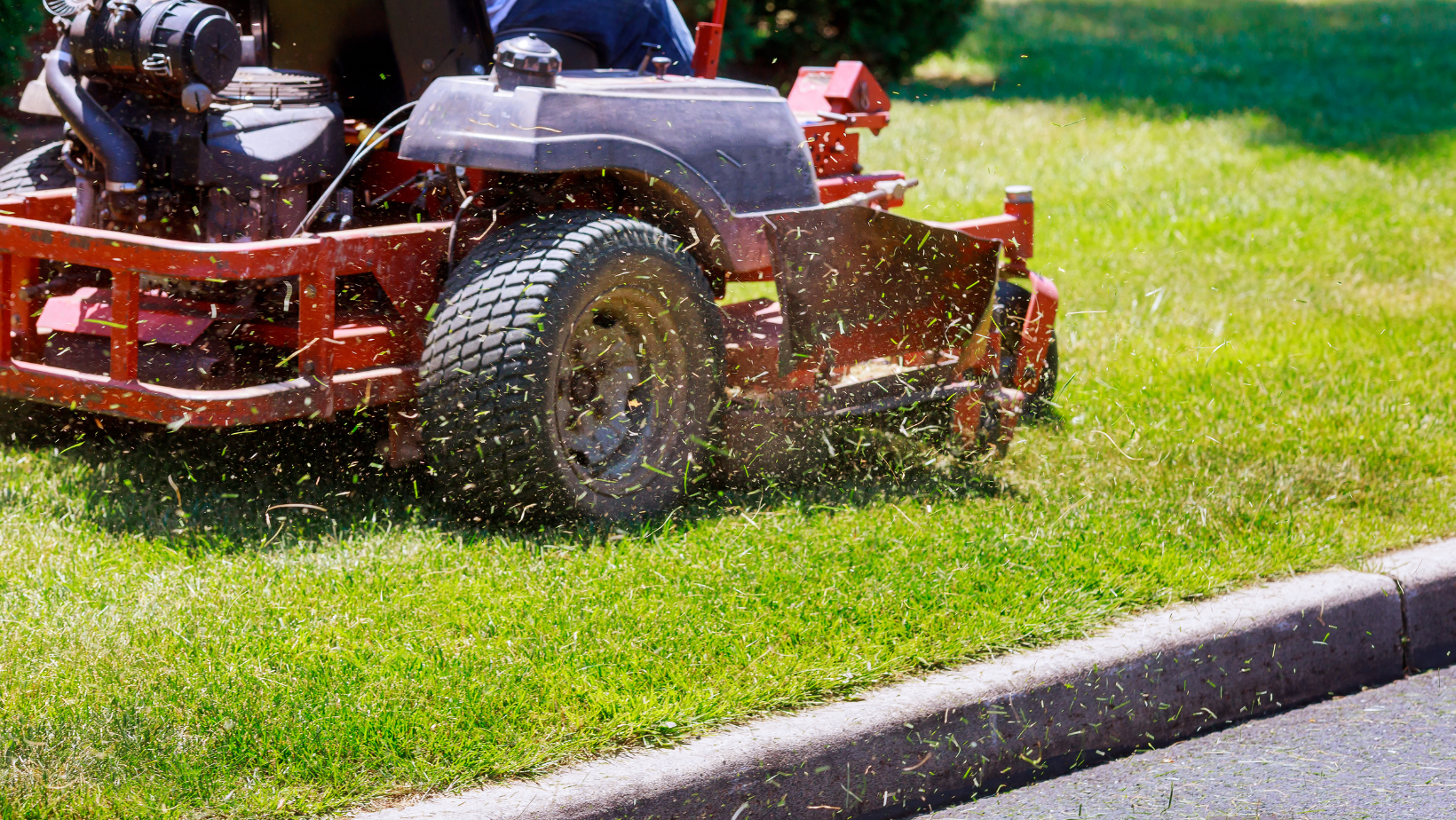 Residential Lawn Care Services
