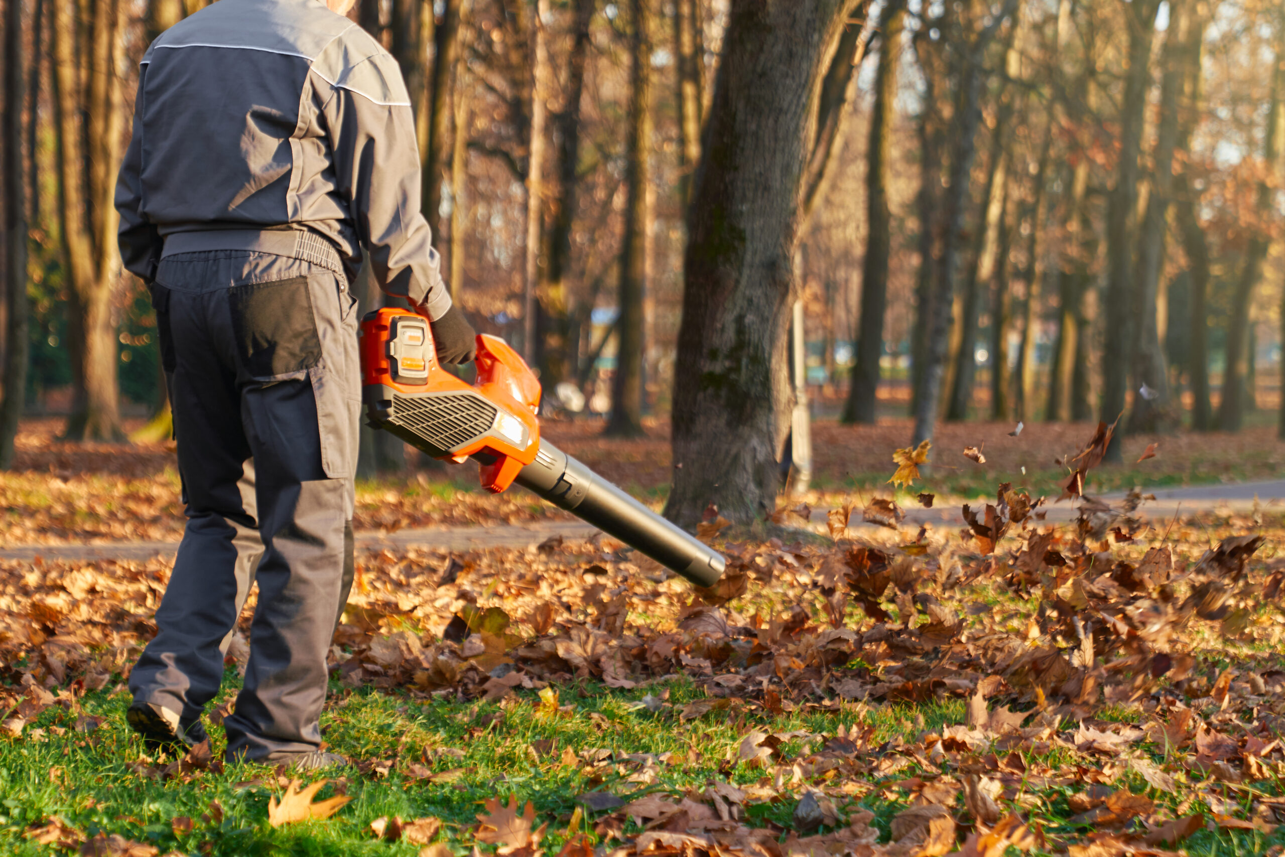 Fall leaf cleanup service Hudson NH