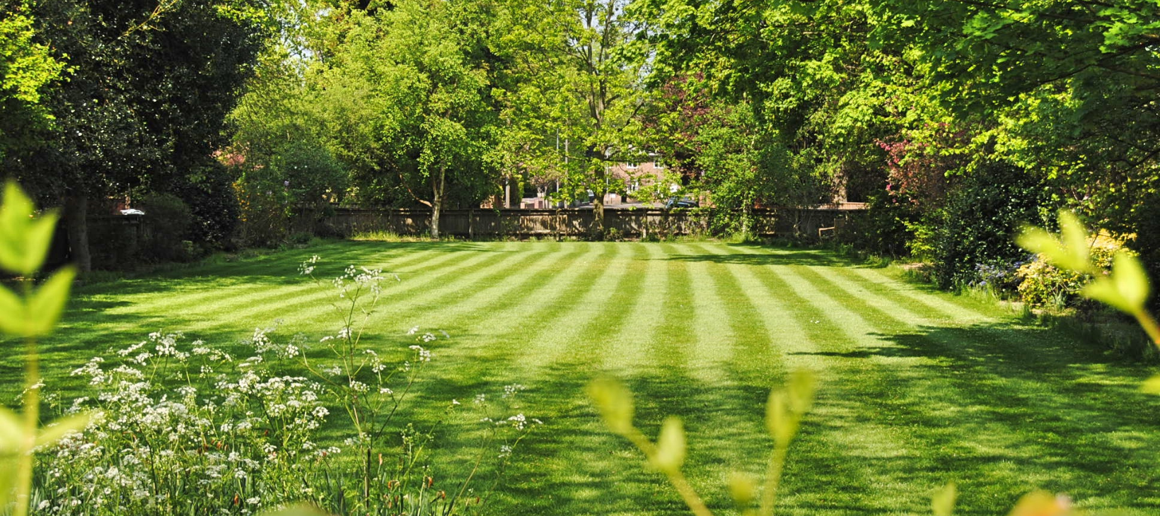 Reliable Lawn Mowing & Lawn Care Services You Can Count On