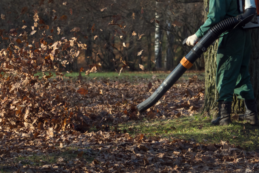 Fall leaf cleanup service Hudson NH