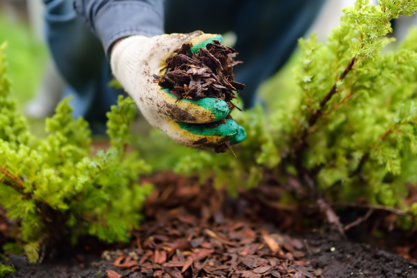 Mulching service in Hudson NH landscaping