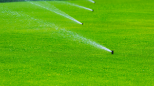 Lawn care tips Hudson NH